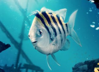 Ator que dá voz ao Linguado defende visual do peixe em premiere de “A Pequena Sereia”