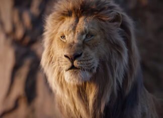 Continuação do live-action “O Rei Leão” contará história de Mufasa e sua ascensão ao trono