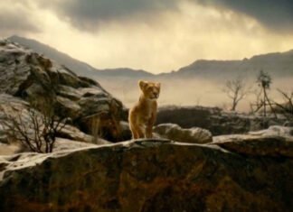Disney publica primeira imagem de “Mufasa: O Rei Leão” mostrando o protagonista jovem