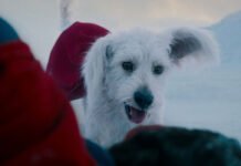 Warner publica cena de 4 minutos de “Superman” mostrando o cão Krypto salvando o herói