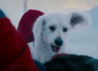 Warner publica cena de 4 minutos de “Superman” mostrando o cão Krypto salvando o herói