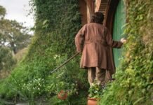 Elijah Wood reaparece como Frodo em primeira imagem de “The Hunt for Gollum”, novo filme da Terra-média Frodo de costas diante da porta redonda de Bolsão em cena de The Hunt for Gollum