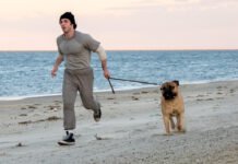 Anthony Ippolito caracterizado como Sylvester Stallone em I Play Rocky